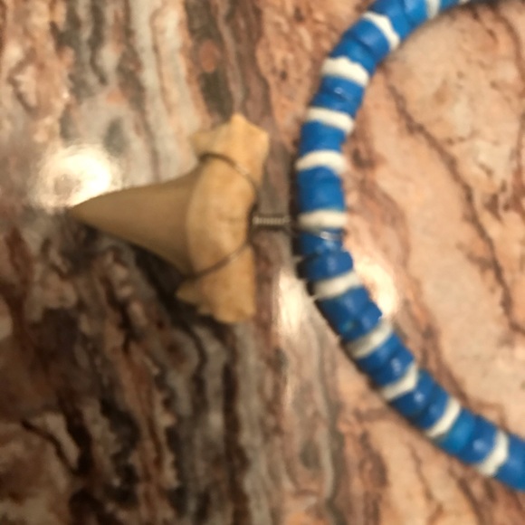 Blue corral Necklace with shark tooth. - Picture 2 of 3